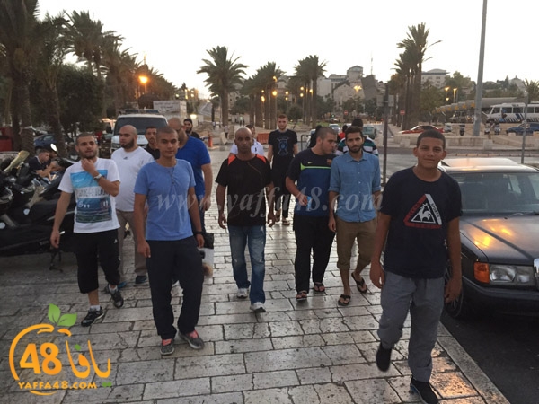 yaffa rebatt3 (7).jpg